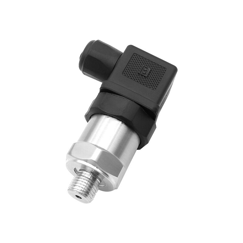 ATEX CE 4-20mA 0.5-4.5V I2C -100kpa-100MP فشار هوا آب و آب Transdeucer خلاء سنسور فشار مطلق فرستنده